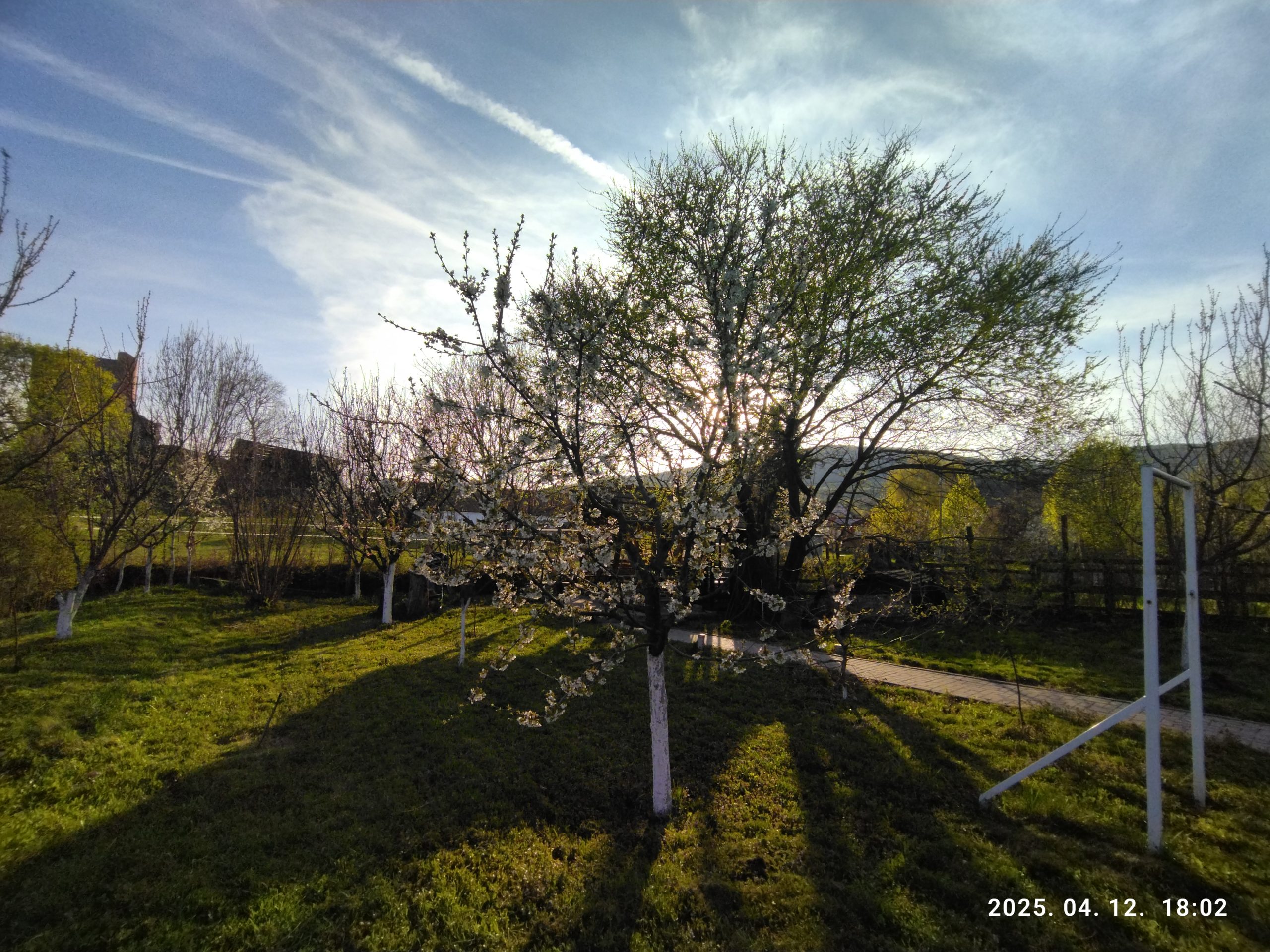 IMG_20250412_180254