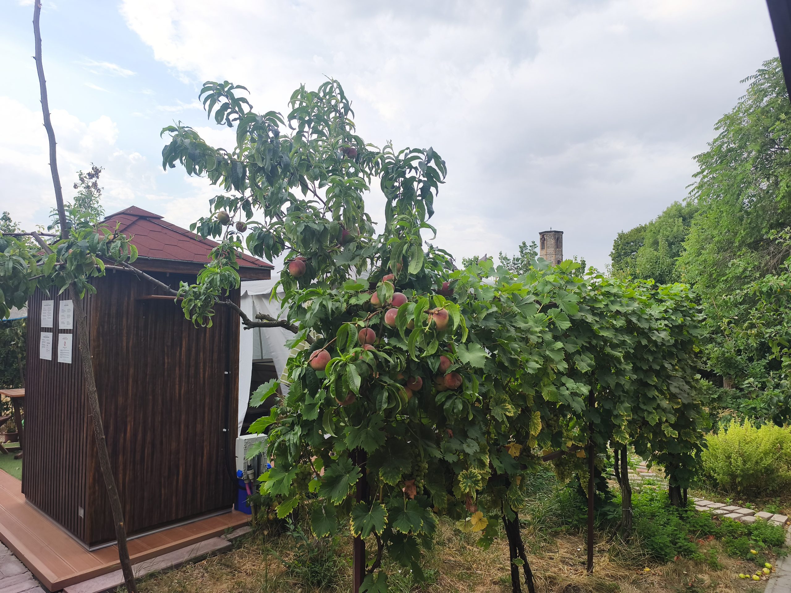 IMG_20260807_075418